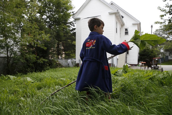 On the first morning, Strider plays in the backyard of his new home, an old rectory in Lisbon, Maine. The yard was fenced and tucked into a neighborhood, so different from the woods he called home (Jessica Rinaldi, The Boston Globe).