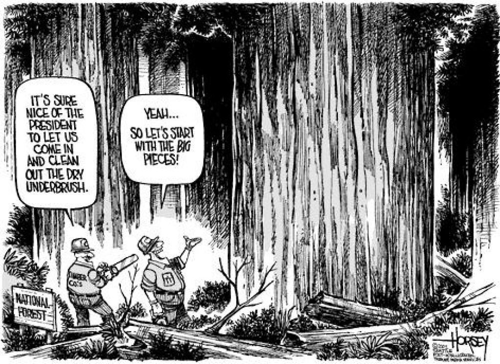 David Horsey/The Seattle Post-Intelligencer - August 19, 2002